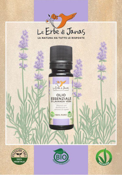 lava vera-500x717 Le Erbe di Janas Olio Essenziale Di Lavanda Vera Toscana Bio 10 ML