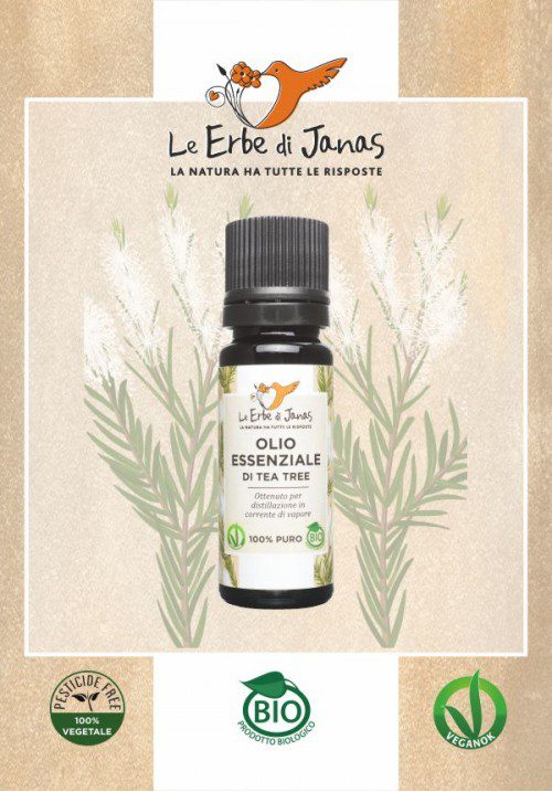 teatreeita-500x717 Le Erbe di Janas Olio Essenziale Tea Tree Bio