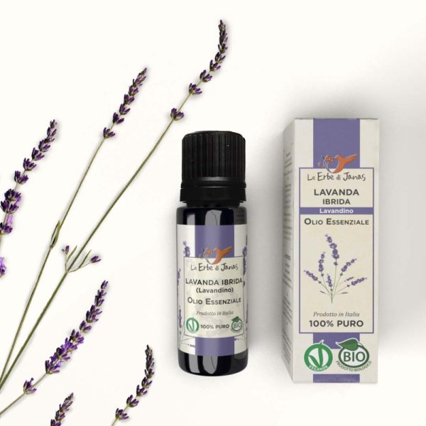 Web - OE - Lavandino - F-1000x1000 Le Erbe Di Janas - Olio Essenziale Di Lavanda Ibrida (Lavandino) Bio