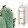 Web - Pala Fico - Bagno intimo 150ml - R-1000x1000 Le Erbe Di Janas -Bagno Intimo Fico D'India E Mirto Bio