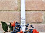 IMG_2390-2-scaled-1